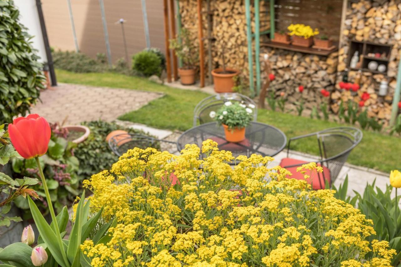 Apartmán Haus Schneider Kressbronn am Bodensee Exteriér fotografie