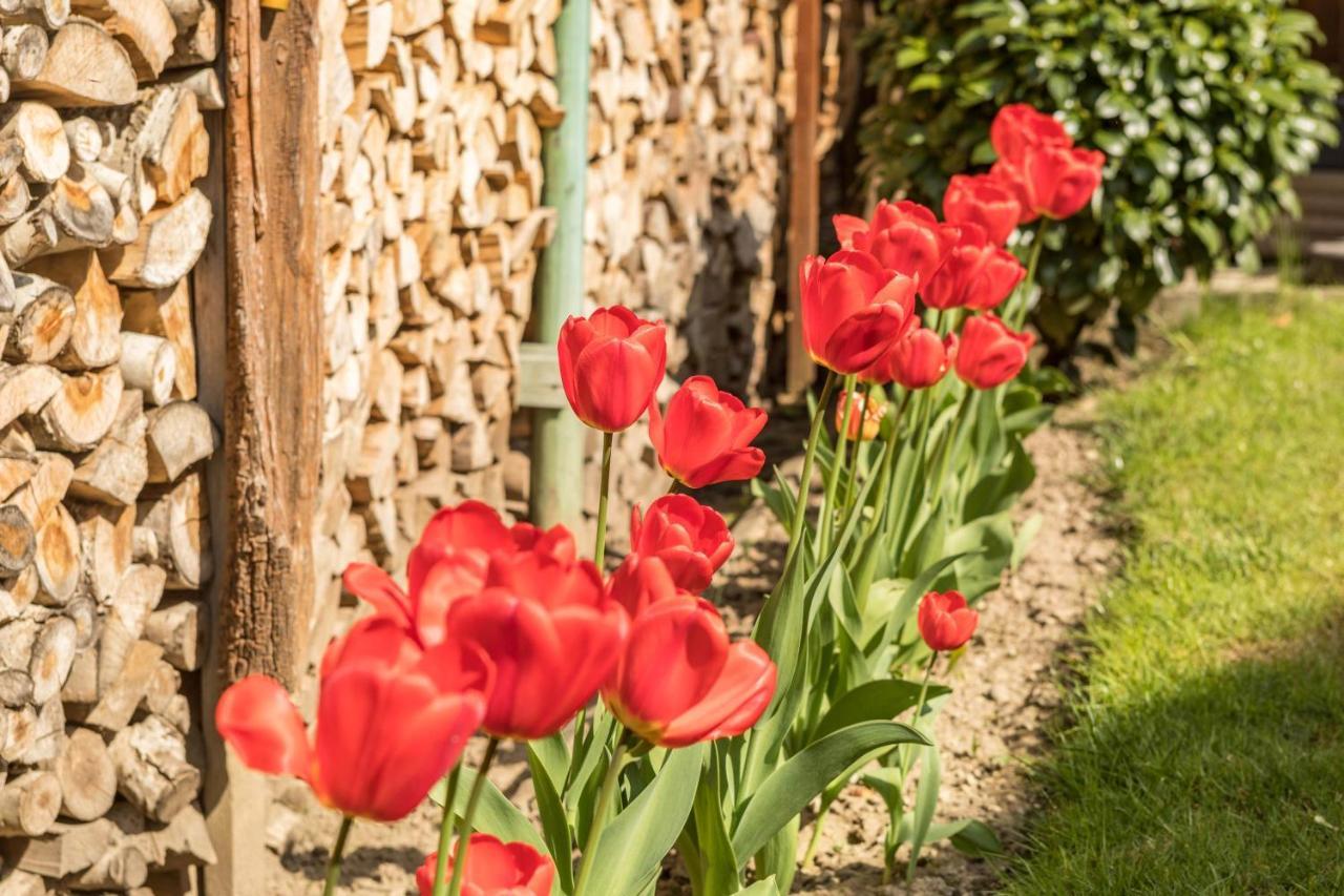Apartmán Haus Schneider Kressbronn am Bodensee Exteriér fotografie